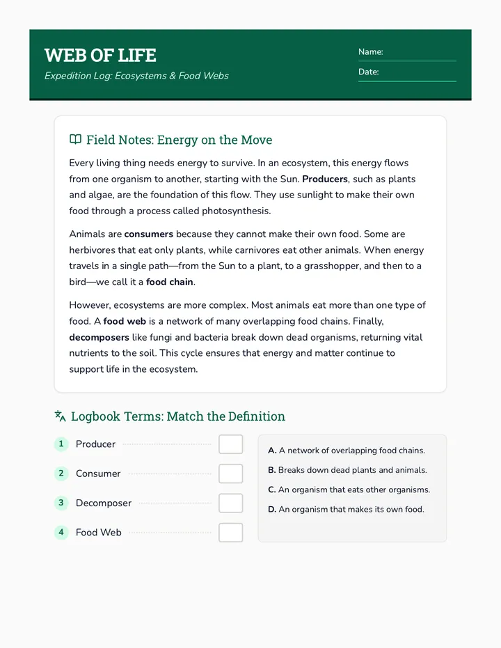 Web of Life Worksheet