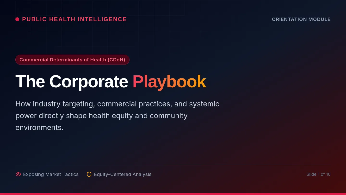 Corporate Playbook Slides