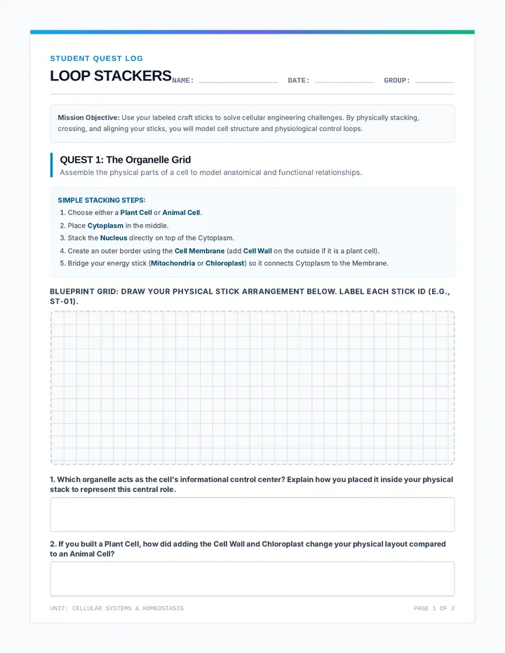 Loop Stackers Student Sheet