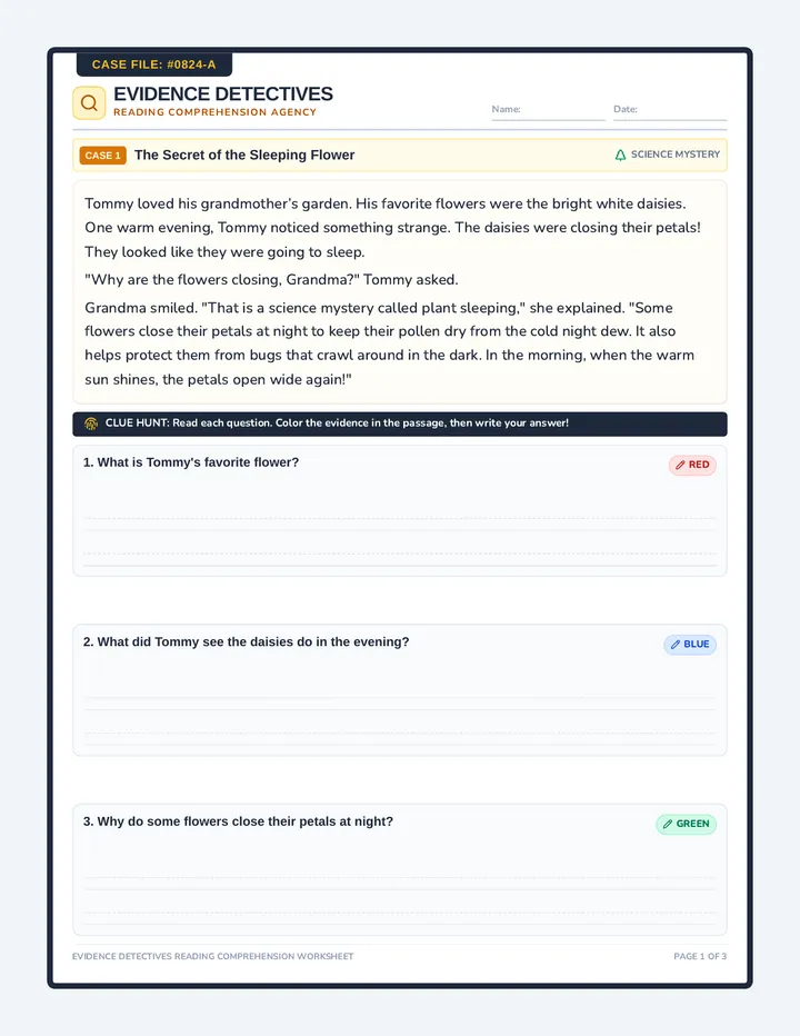 Evidence Detectives Worksheet