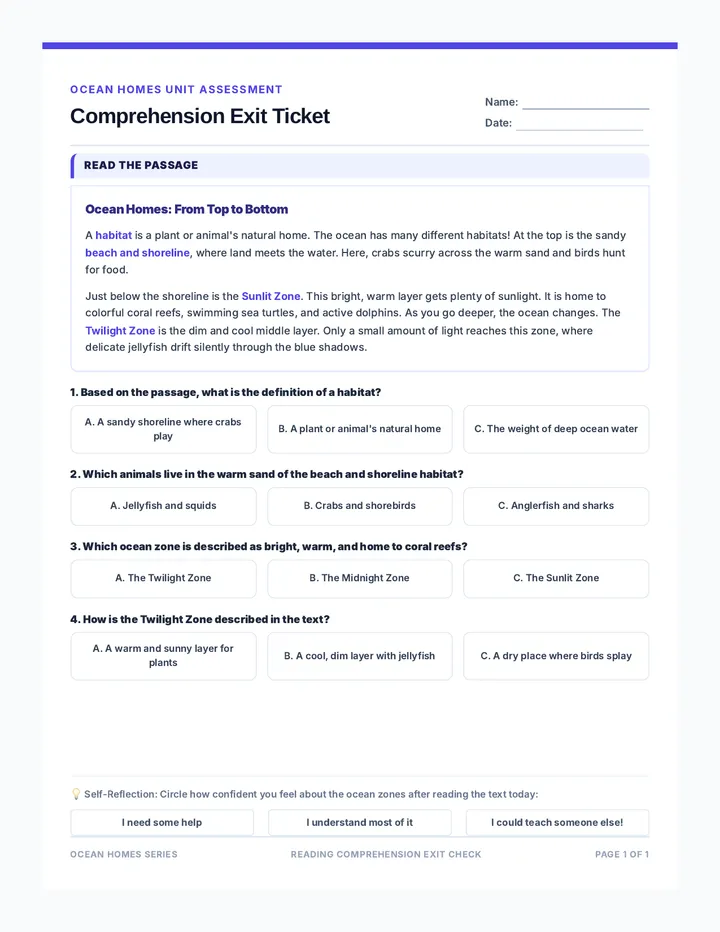 Ocean Zones Comprehension Ticket