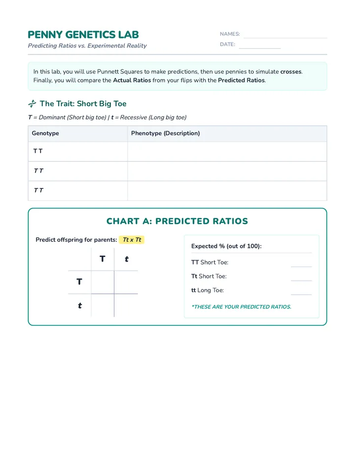 Penny Genetics Lab Sheet