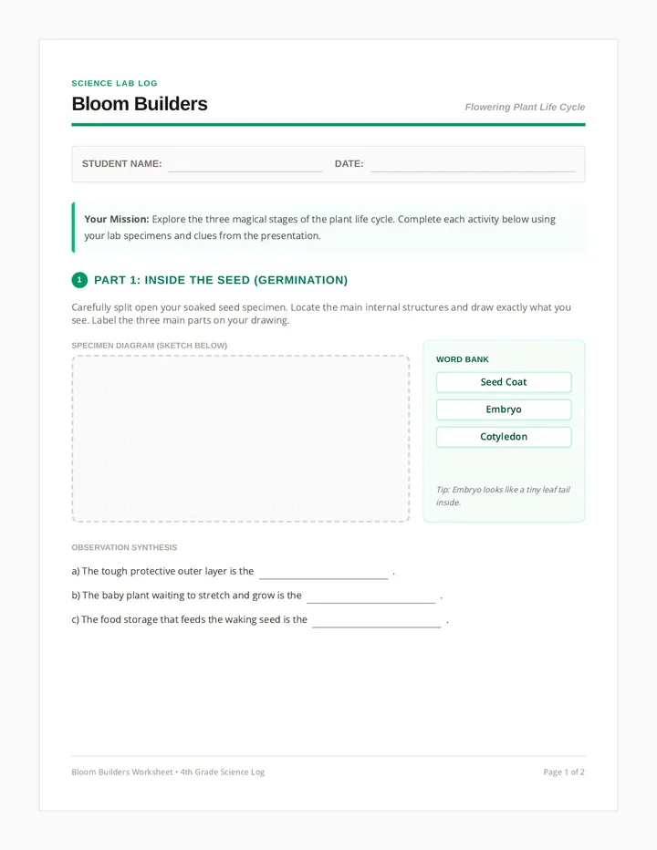 Bloom Builders Worksheet