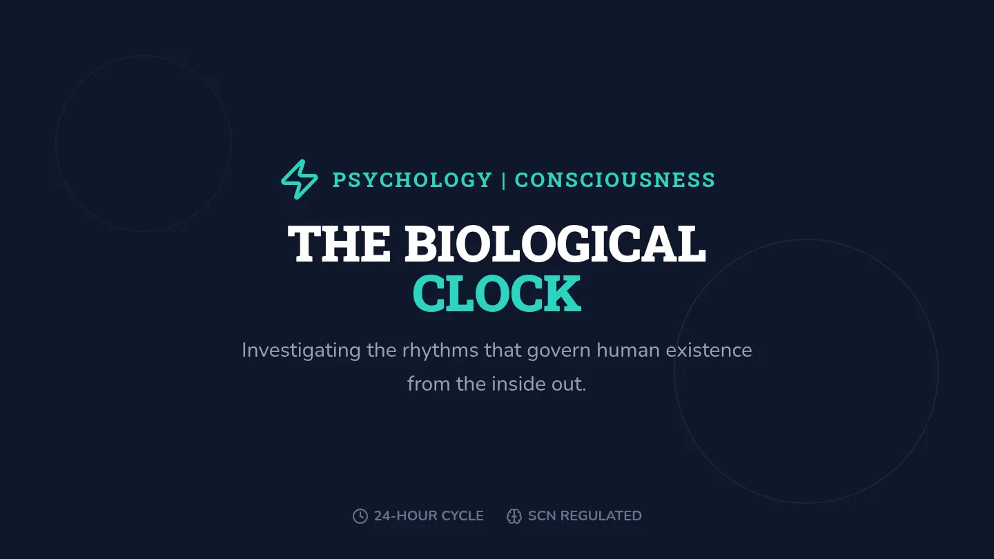 Biological Rhythms Presentation Slides