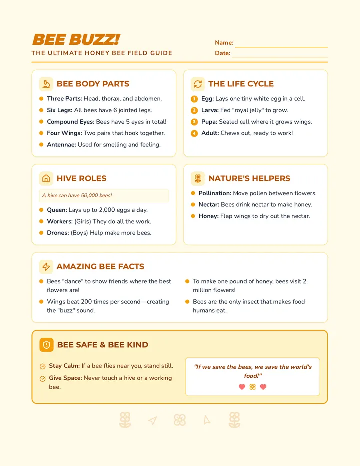Bee Buzz Fact Sheet