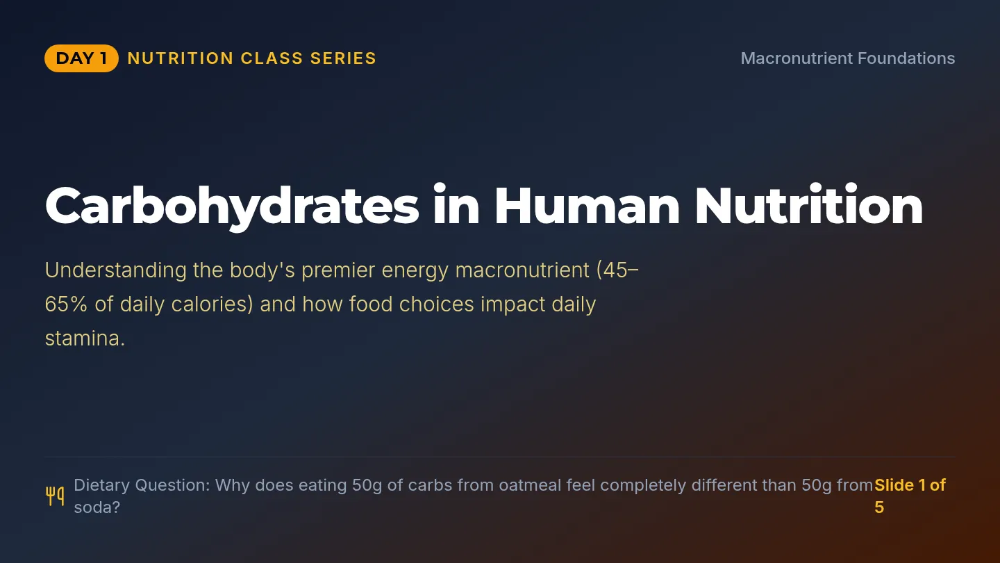 Carb Foundations Slides
