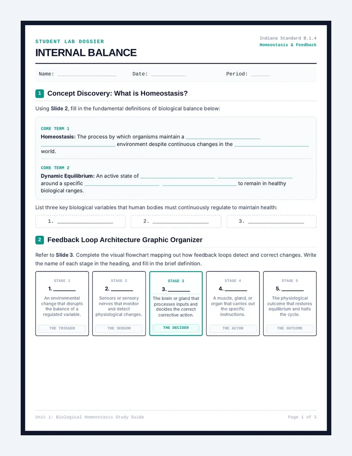Homeostasis Guided Notesheet