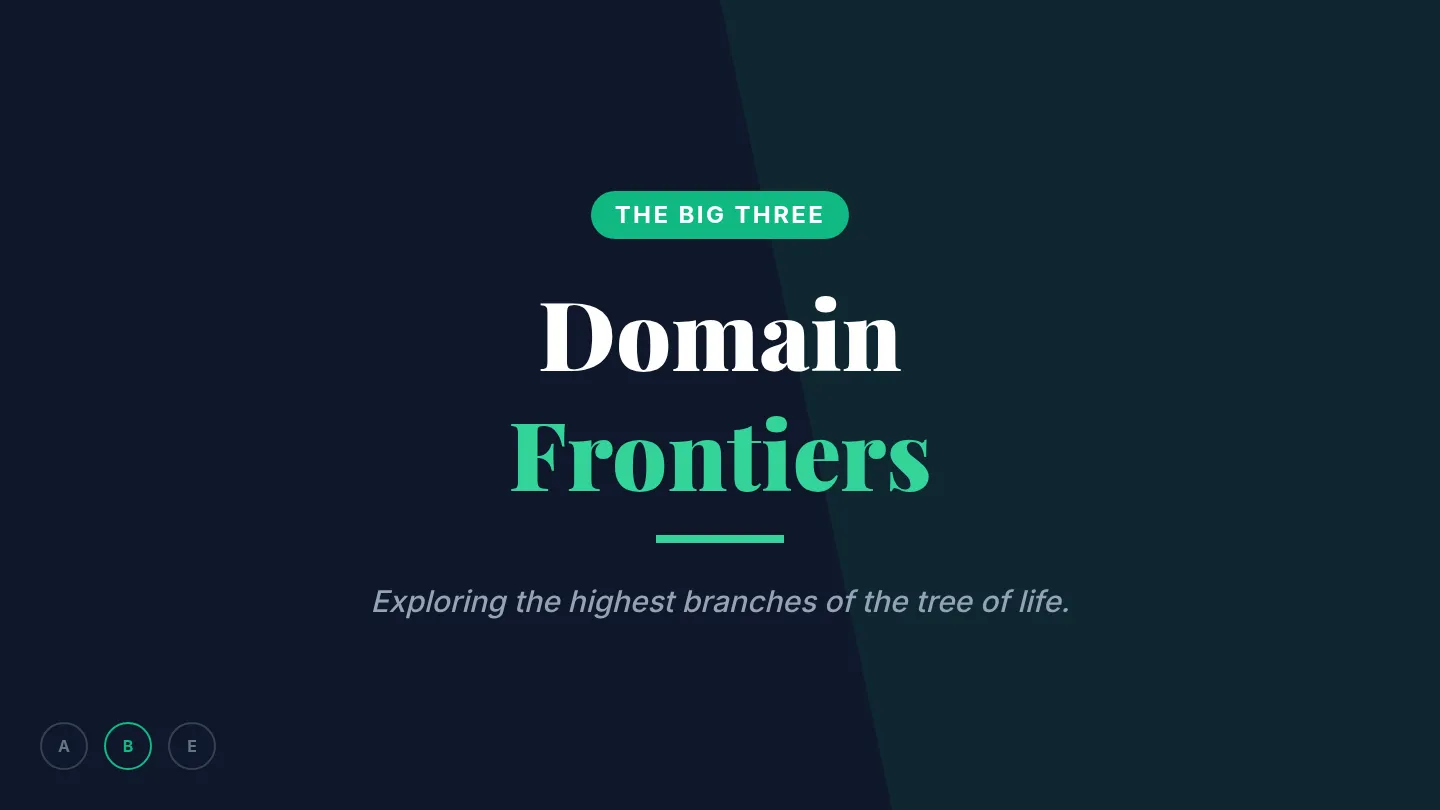 Domain Frontiers Slides