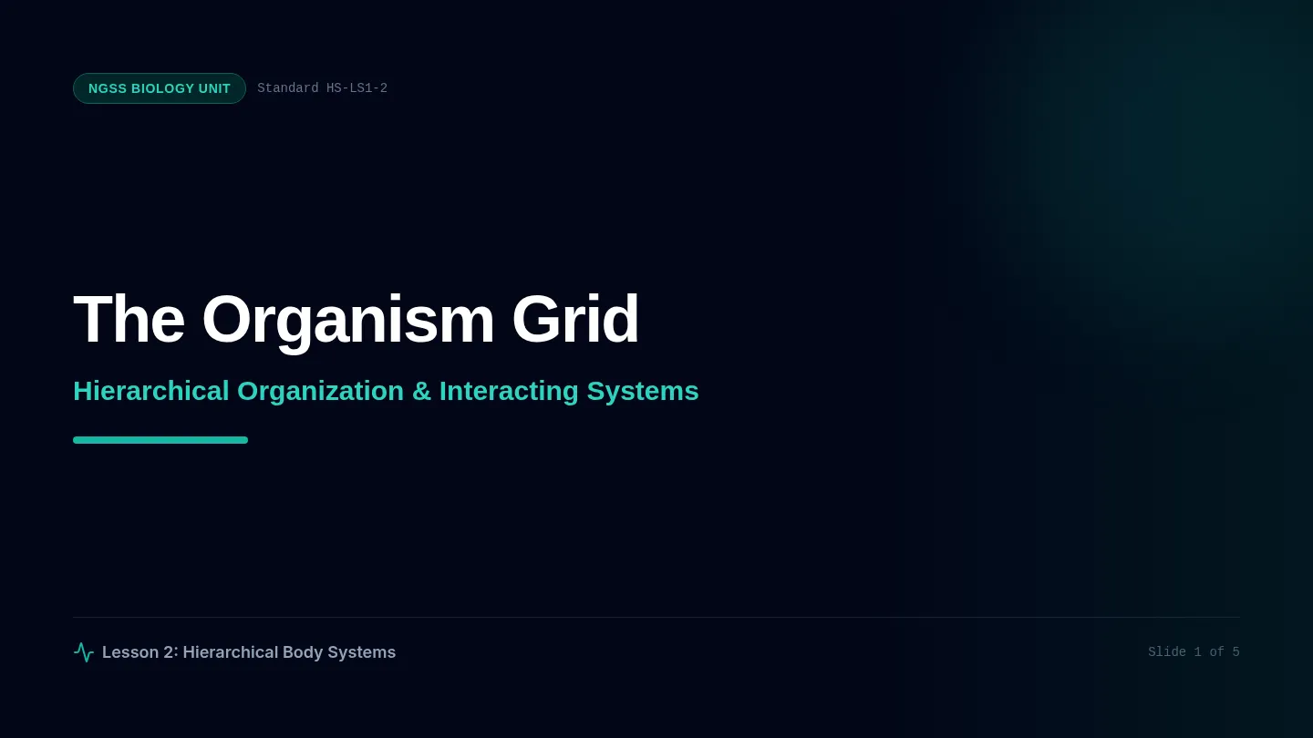 Systems Interaction Slides