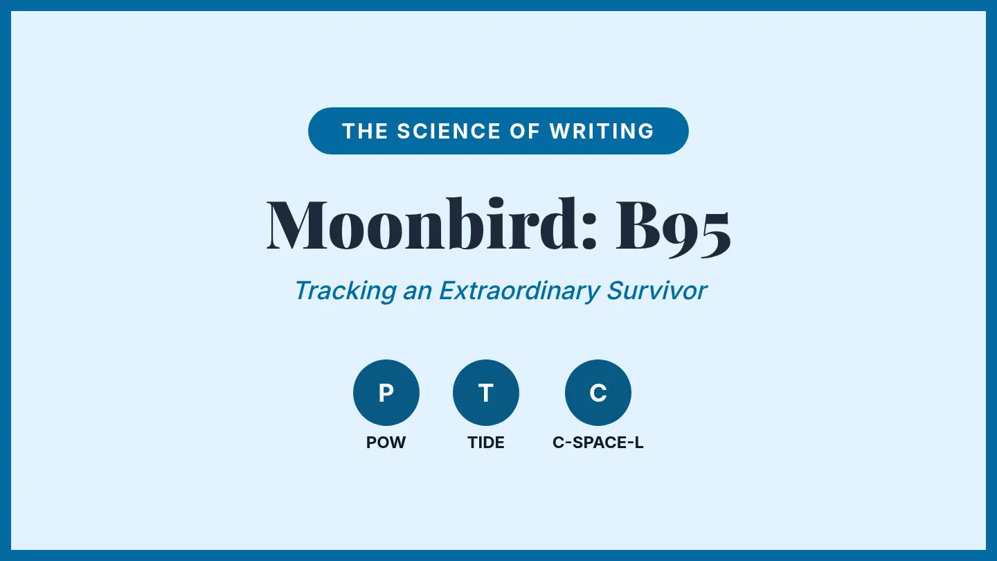 Moonbird Strategy Slides