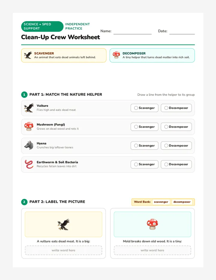 Clean Up Crew Worksheet