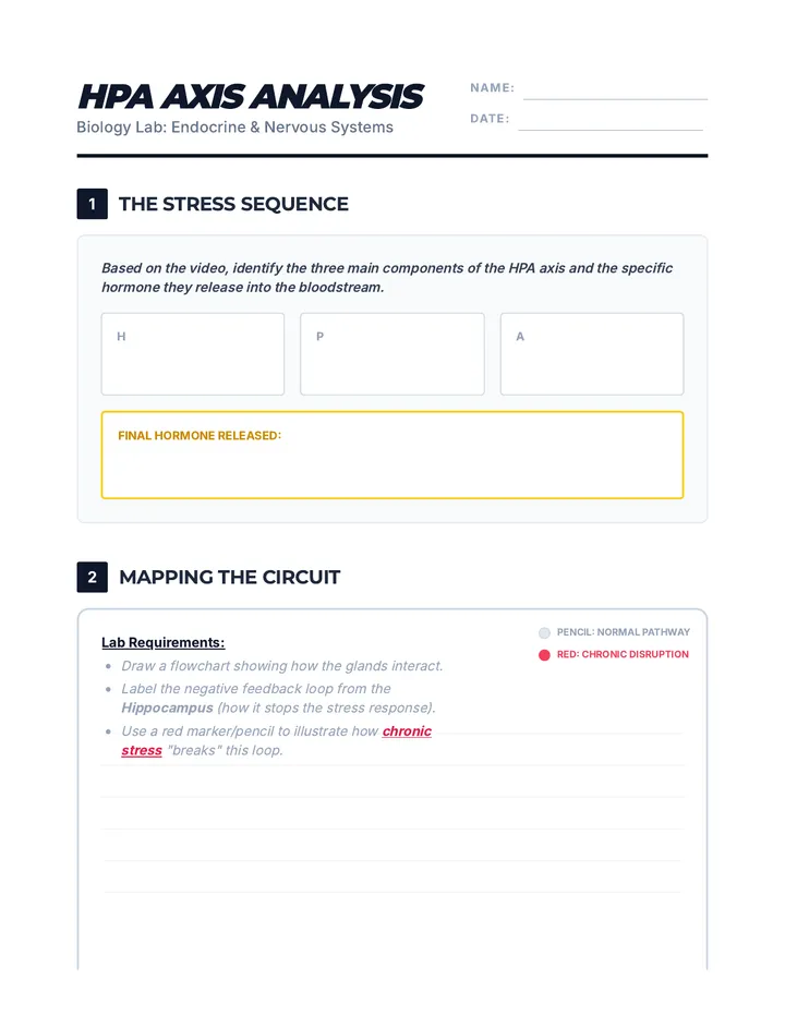 Stress Circuitry Worksheet