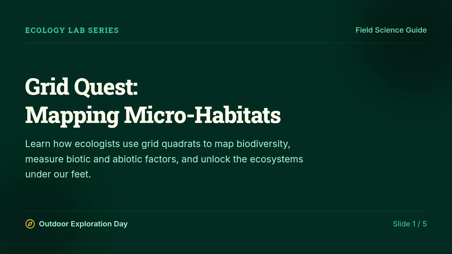 Micro Habitat Slides