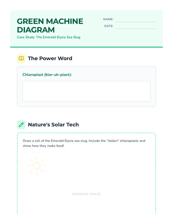Green Machine Worksheet