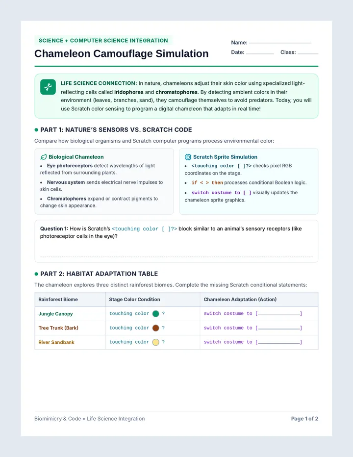 Chameleon Camouflage Worksheet