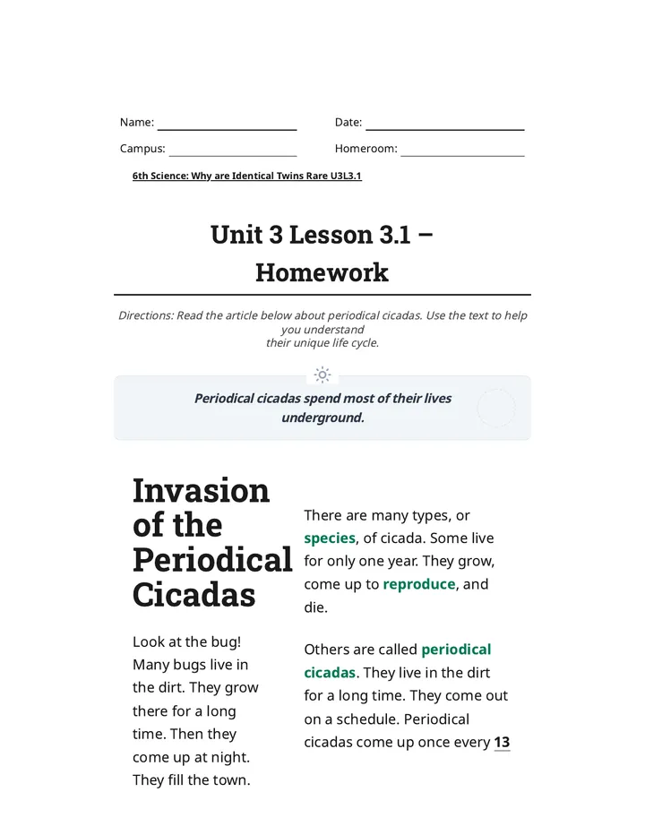 Cicada Bug Homework Worksheet house refined layout final clean layout final final v2