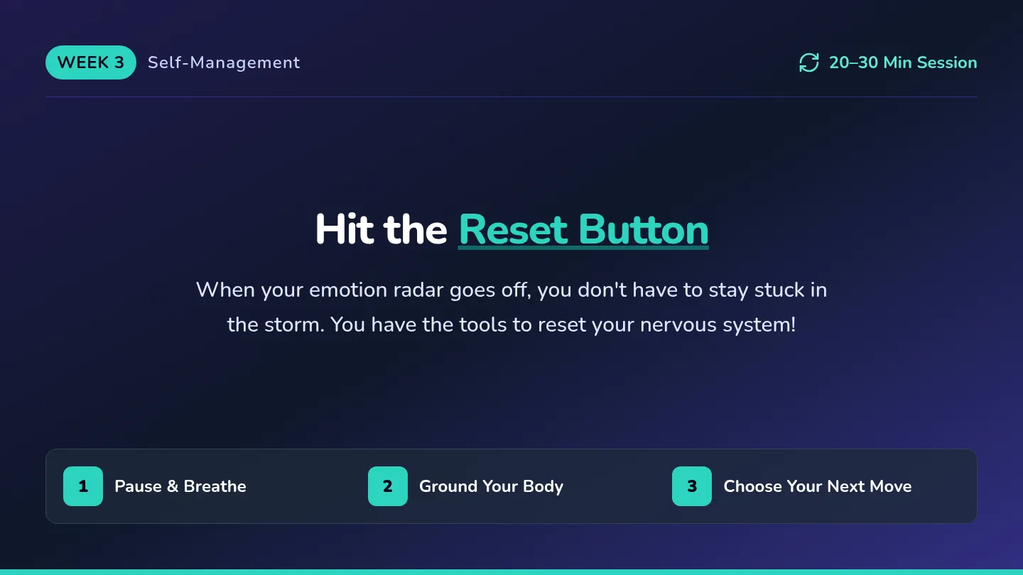Reset Button Slides