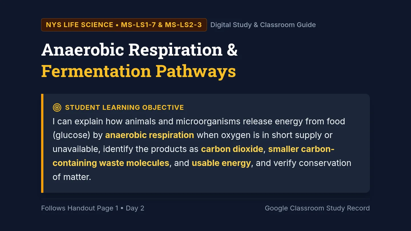 Anaerobic Respiration Lesson Slides