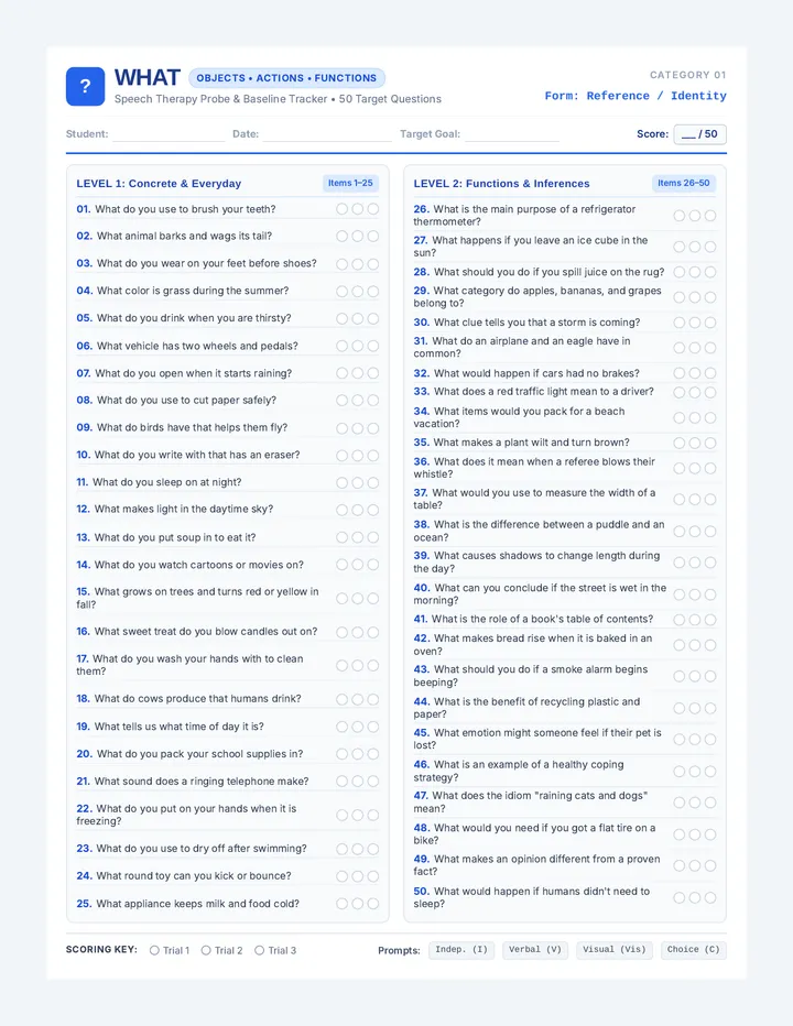 Wh Question Master Sheets