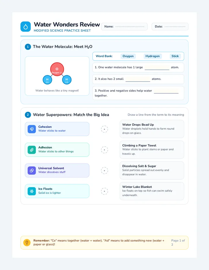 Water Wonders Review Worksheet