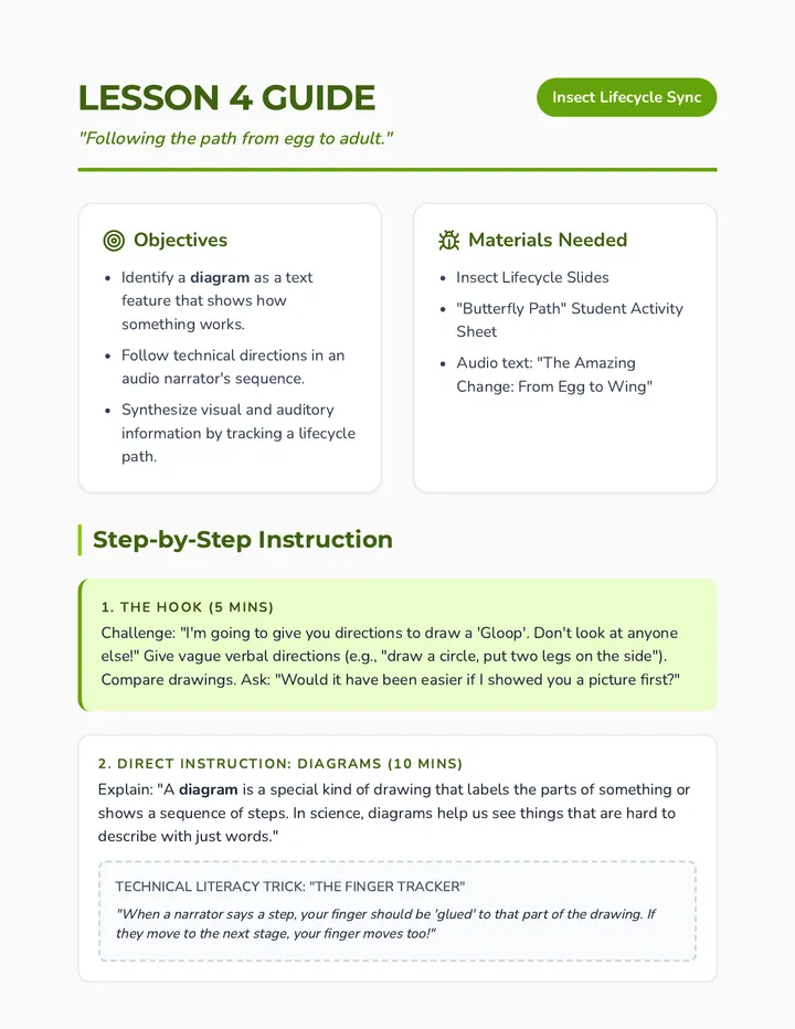 Insect Lifecycle Teacher Guide