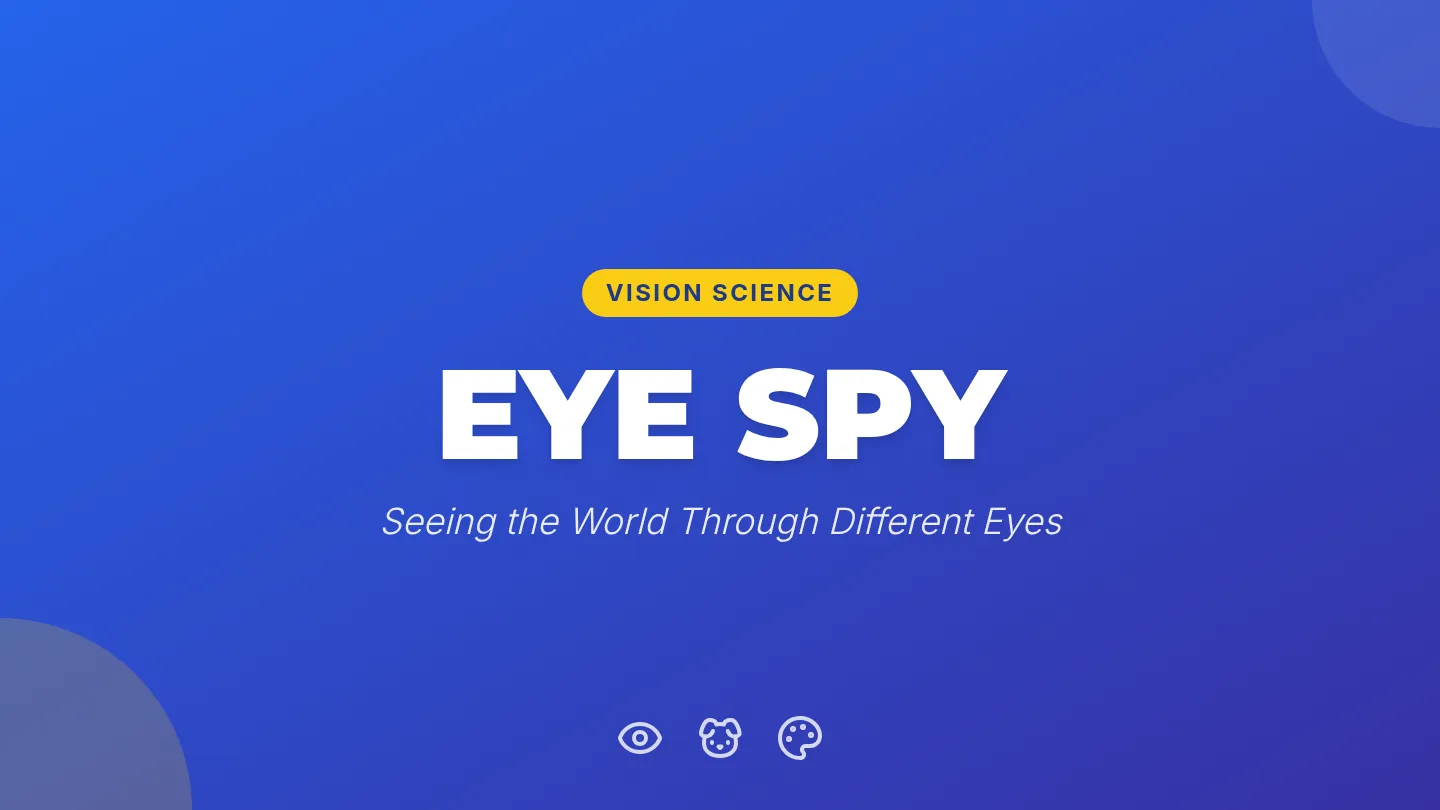 Eye Spy Slides