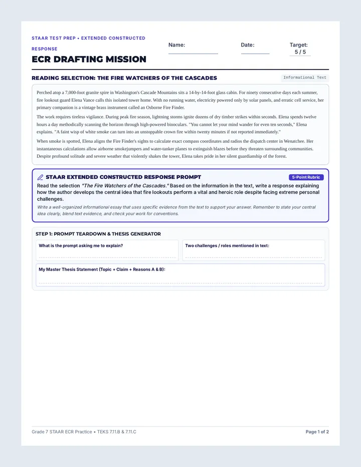 ECR Prompt Organizer Document