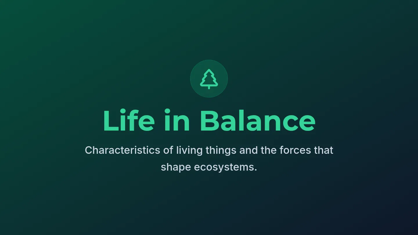 Life in Balance Slides Plus