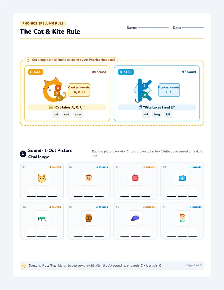 Cat Kite Rule Worksheet
