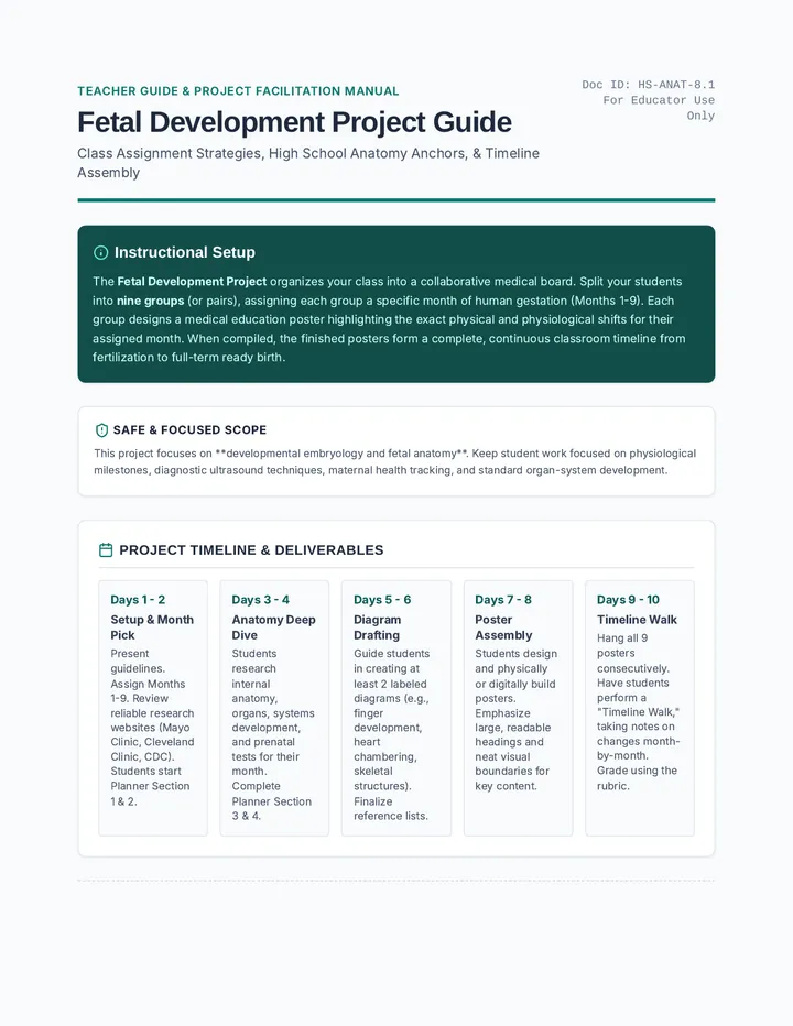 Fetal Development Teacher Guide