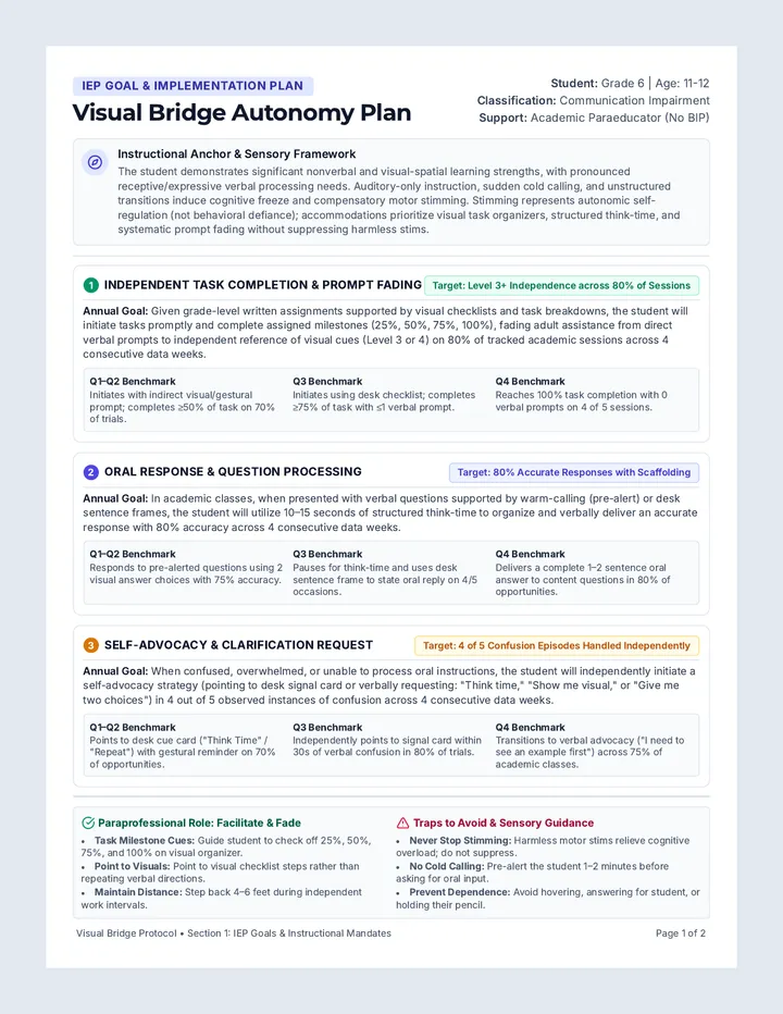 Visual Bridge IEP Guide