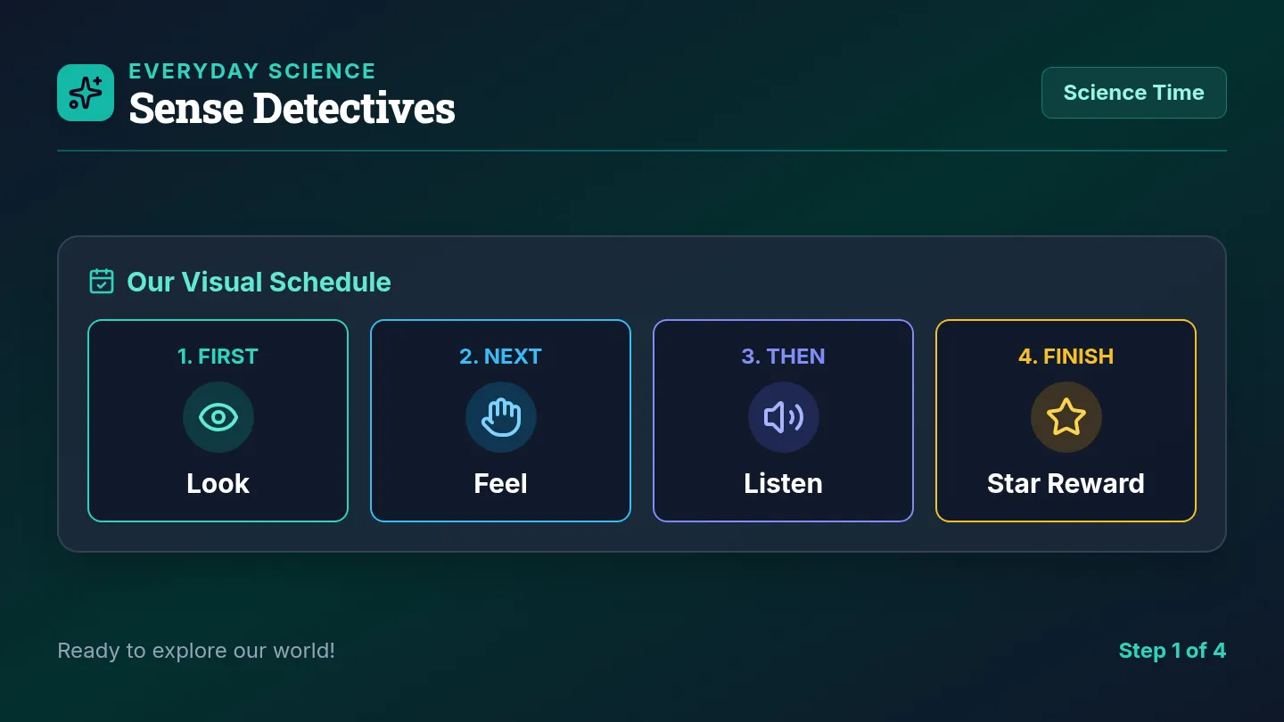 Sense Detectives Visual Slides