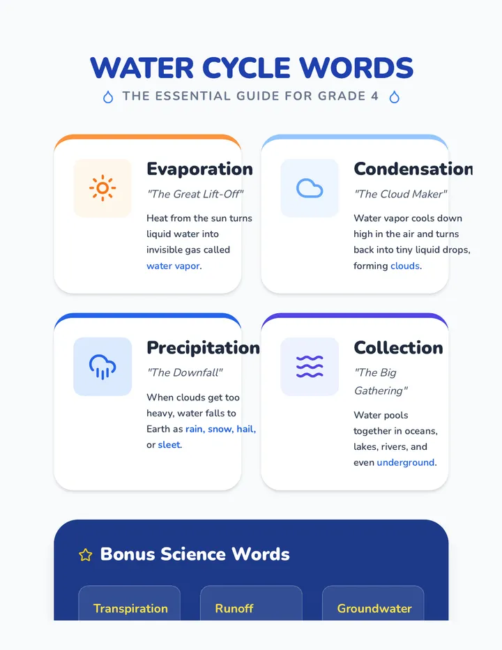 Water Cycle Words Reference