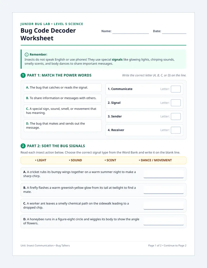 Bug Code Decoder Worksheet