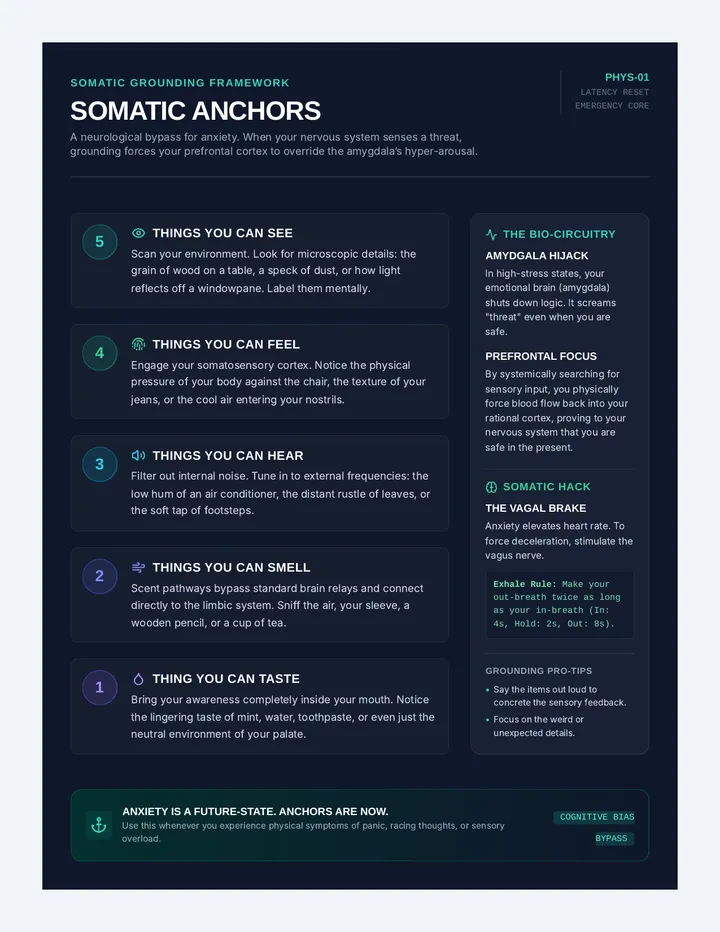 Somatic Anchors Poster
