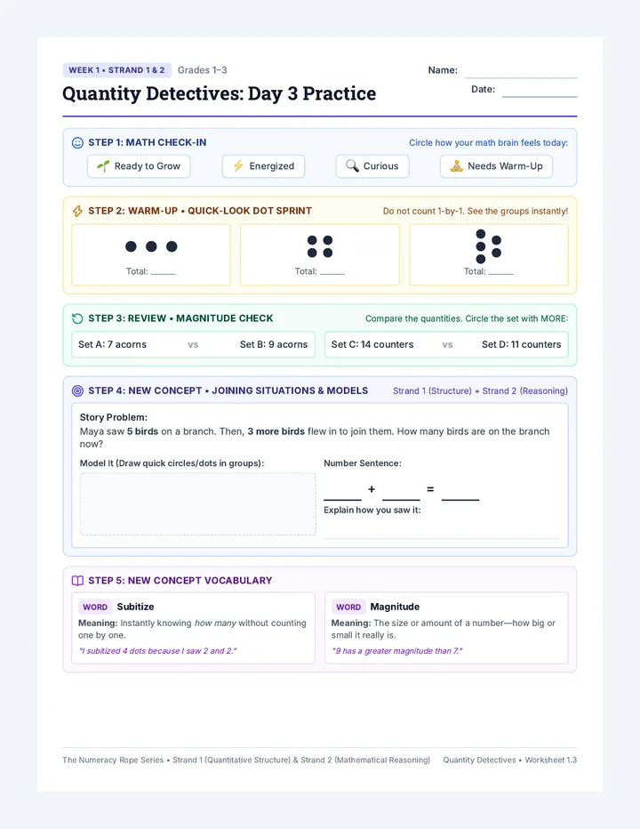 Quantity Detectives Student Worksheet