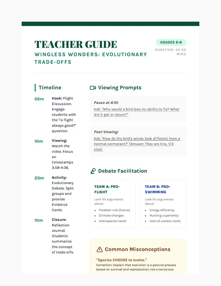 Wingless Wonders Teacher Guide