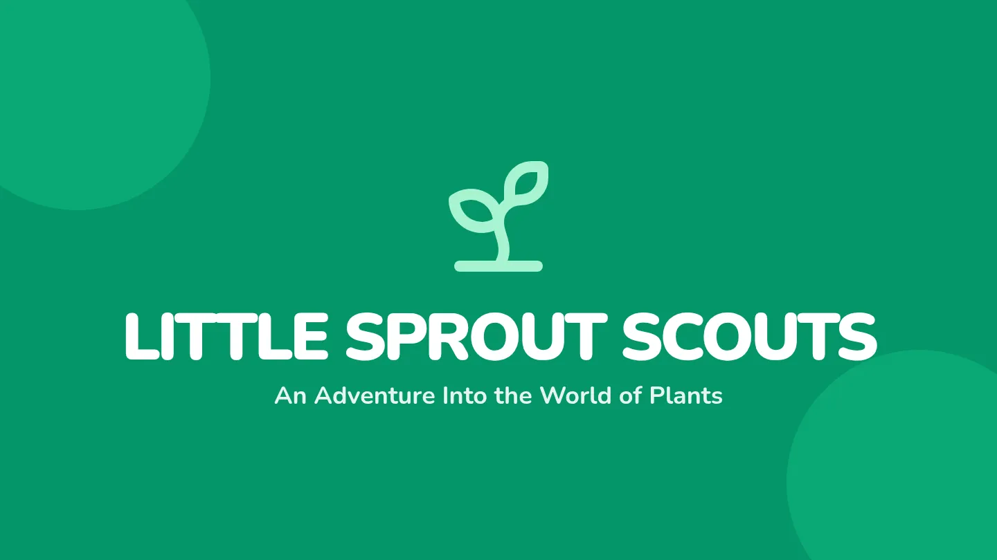 Little Sprout Slides