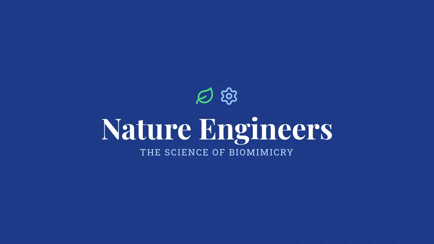 Biomimicry Intro Slides