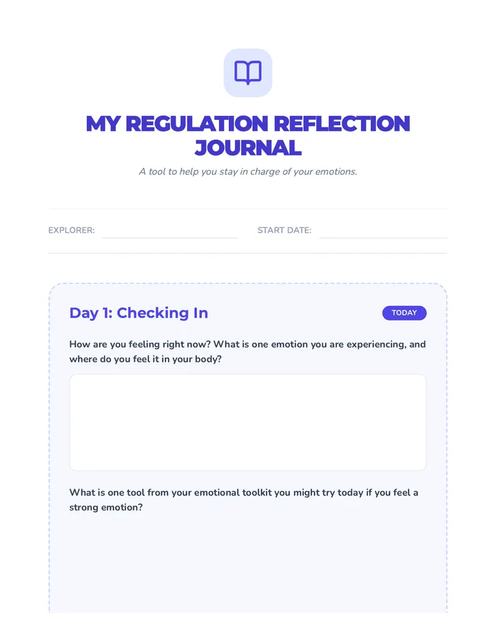 Regulation Reflection Journal