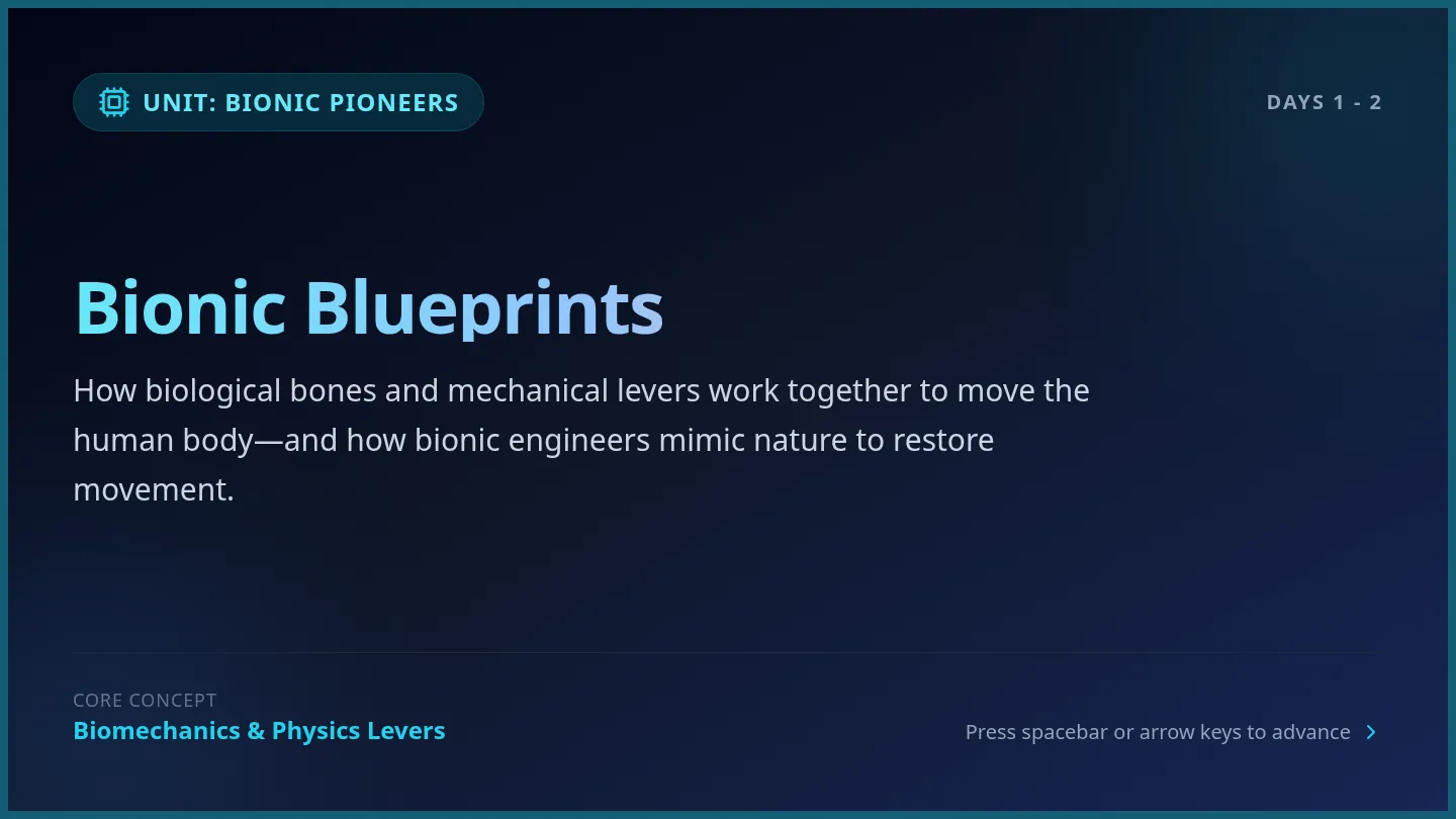 Bionic Blueprints Slides