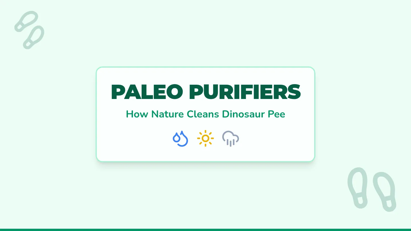 Paleo Purifiers Presentation Slides