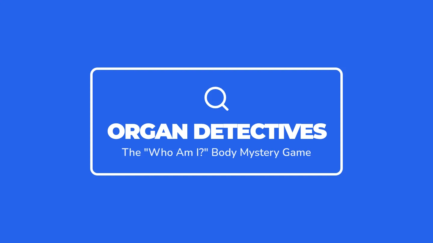 Organ Riddles Slides
