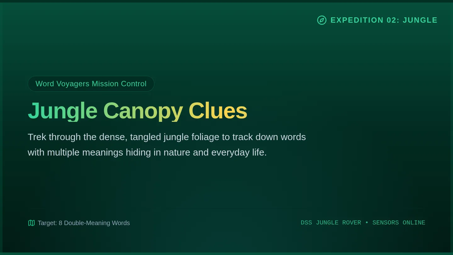 Jungle Canopy Slides