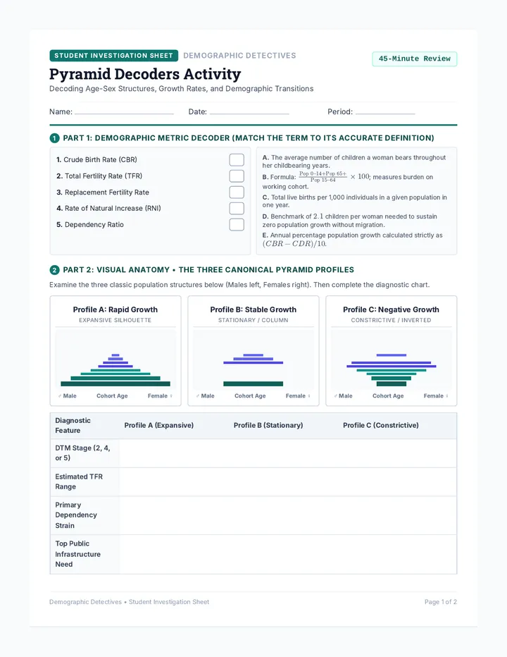Pyramid Decoders Activity