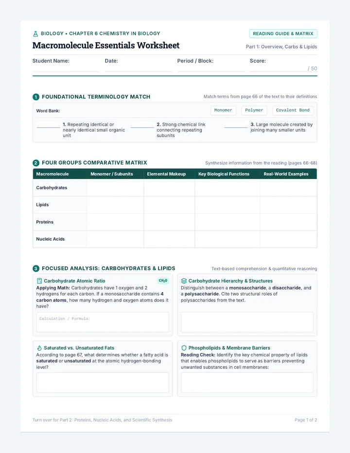 Macromolecule Essentials Worksheet