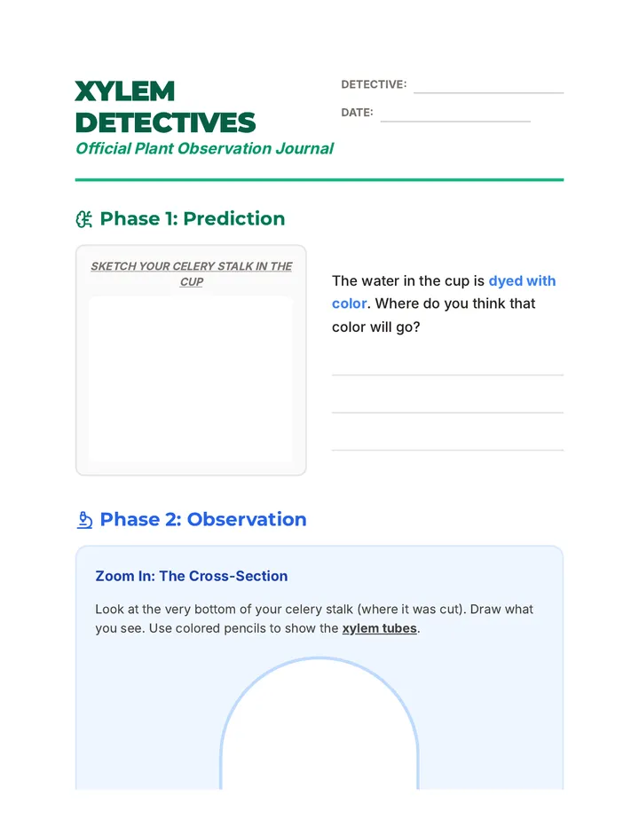 Xylem Detectives Journal
