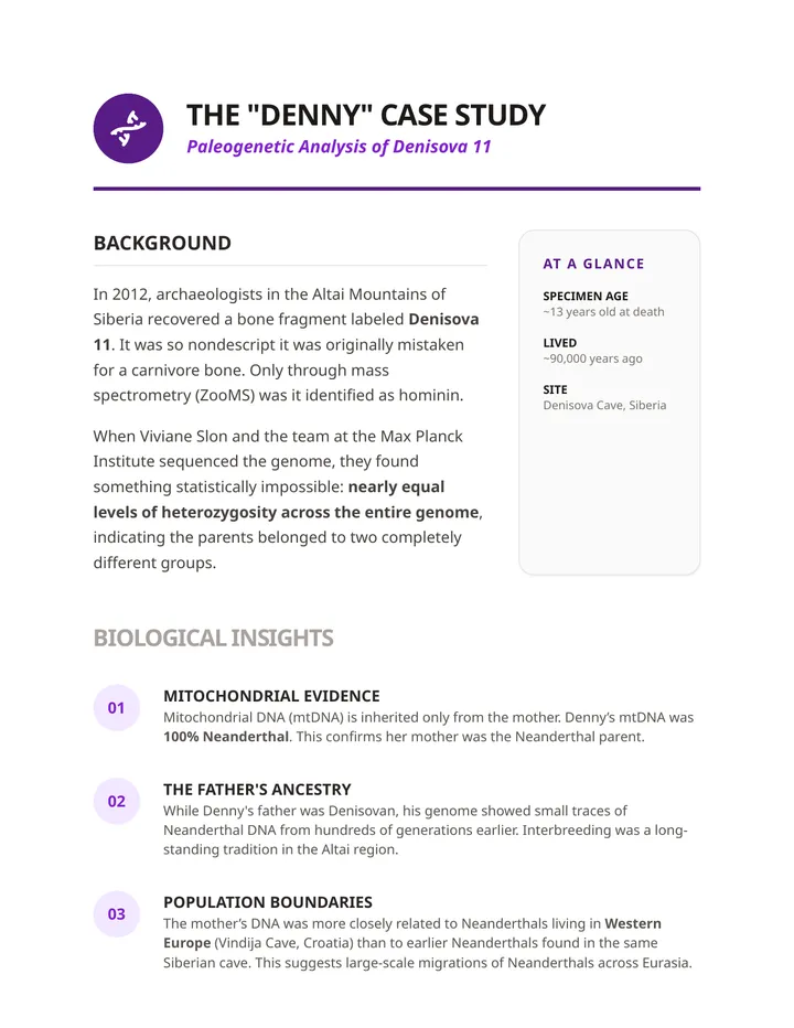 Denny Case Study Handout