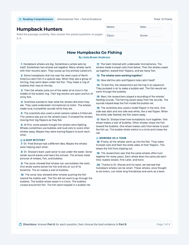 Humpback Hunters Assessment