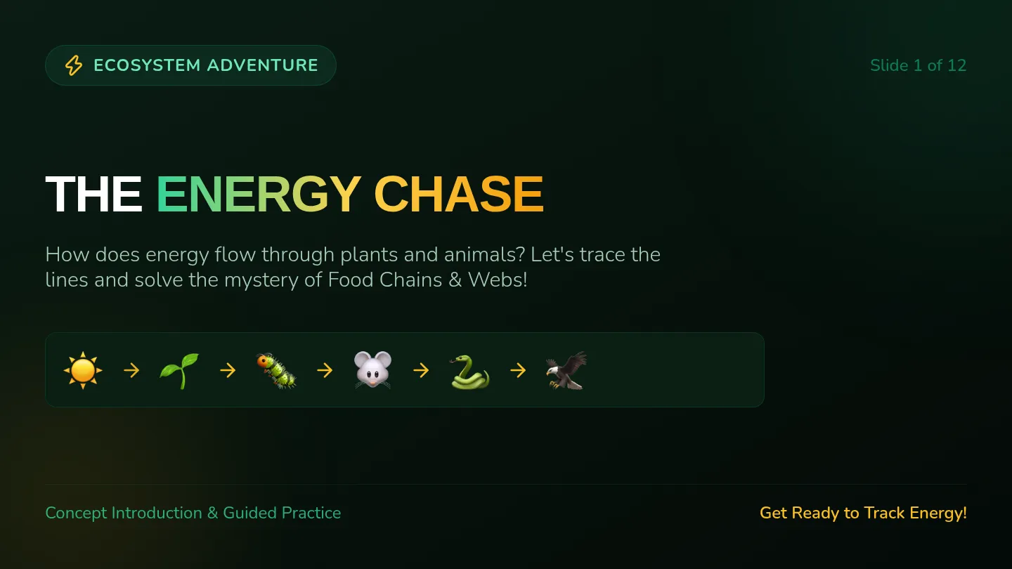 Energy Flow Slides